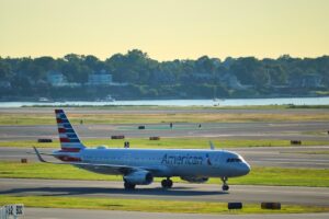 Safari Sights-American Airlines Lands