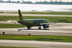 Safari Sights-Spirit Airlines taxing