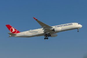 Safari Sights-Turkish Airlines in the Sky